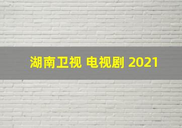 湖南卫视 电视剧 2021